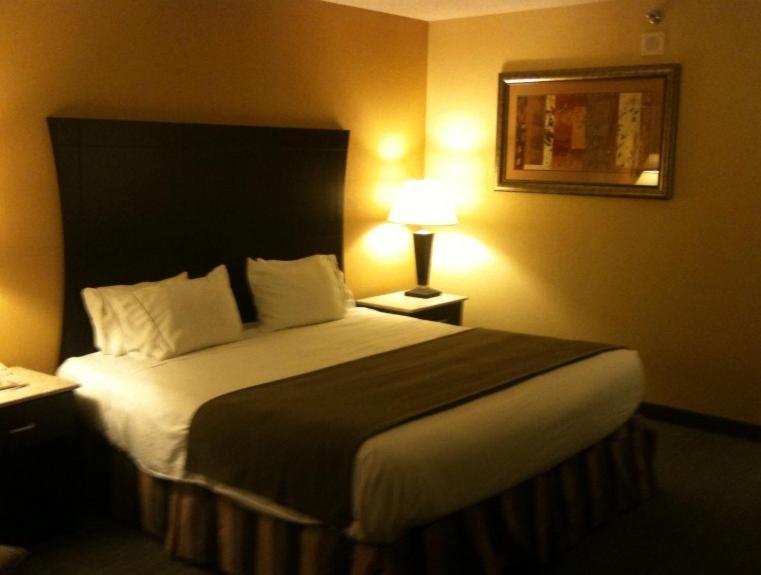 Hotel Indigo Rochester - Mayo Clinic Area Rom bilde